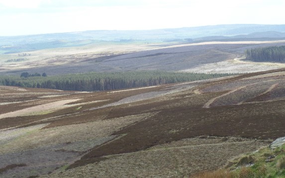 An upland farm